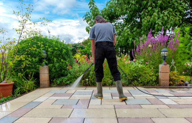 Best Animal Enclosure Cleaning  in Astor, FL