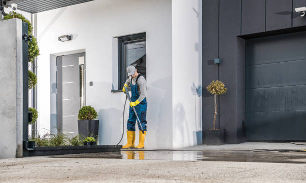 Best Building Exterior Washing  in Astor, FL